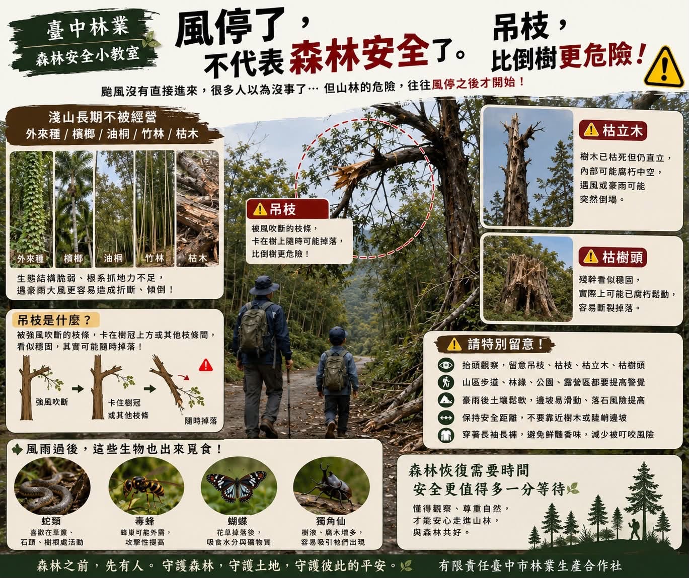 森林安全小教室