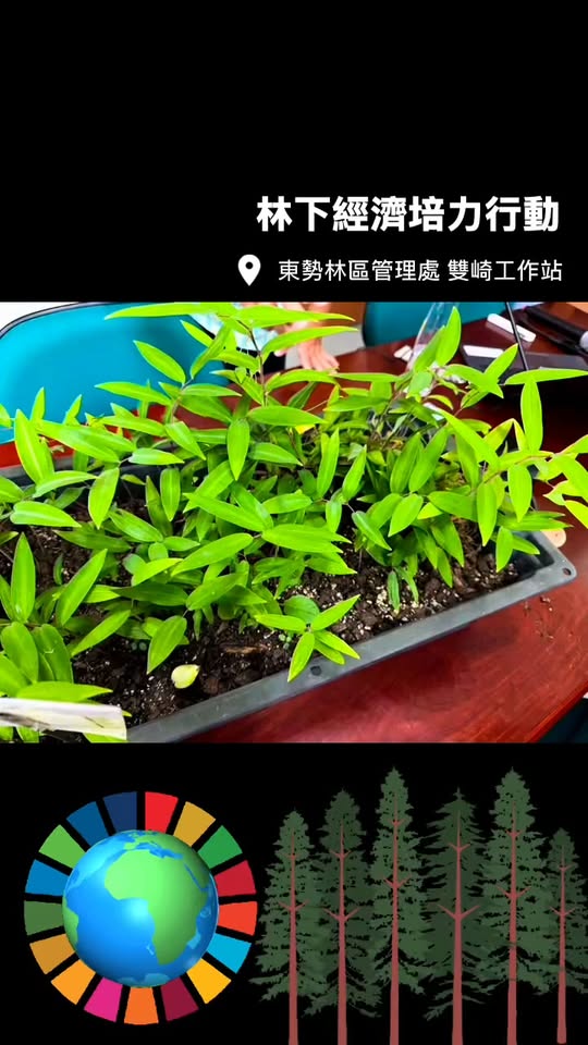Reel：森林裡的答案，不一定都在教科書裡