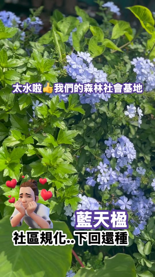 Reel 影片