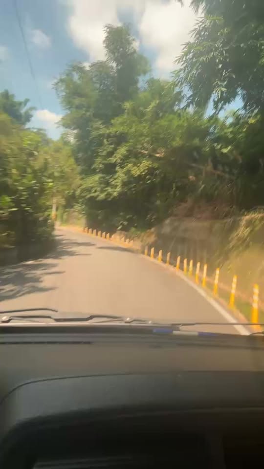 Reel 影片